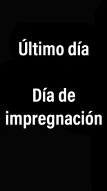 Ella_está_siendo_el_objetivo__Viaje_a_las_aguas_termales : página 347