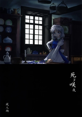 hentai touhou project