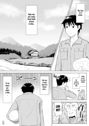 hentai original