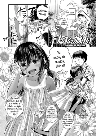 hentai Shizuku no Yomeiri