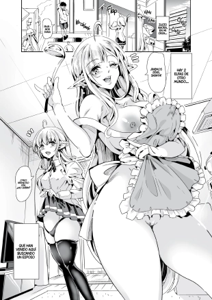 hentai Slutty Elf Sisters Seeking a Husband