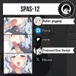 SPAS-12 : página 29