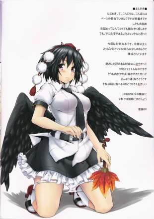 hentai touhou project