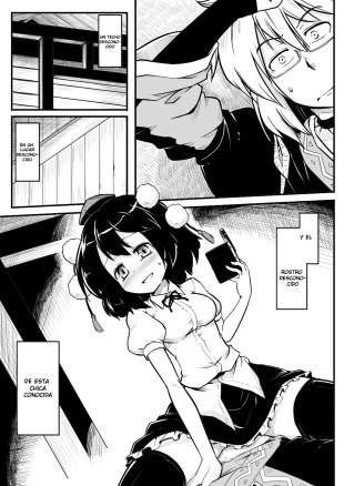 hentai touhou project