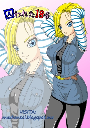 hentai dragon ball z