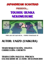 Touhou Bunka Nekomusume : página 17