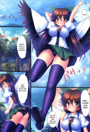 hentai touhou project