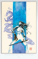 Witchblade: Takeru Manga : página 409