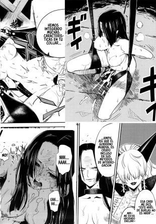 hentai one piece